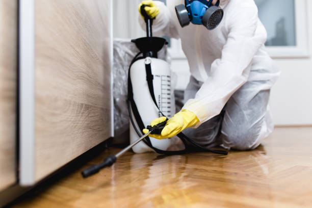 Best Flea Control Services  in Oak Hill, TN