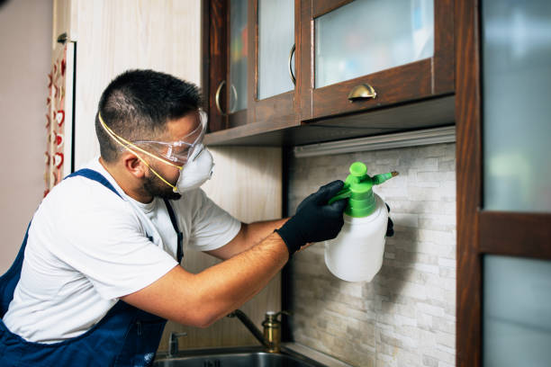 Trusted Oak Hill, TN Pest Control Experts