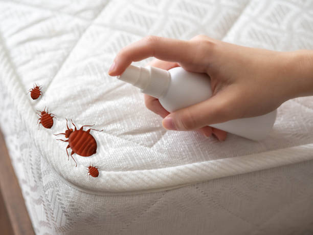 Pest Prevention Services in Oak Hill, TN