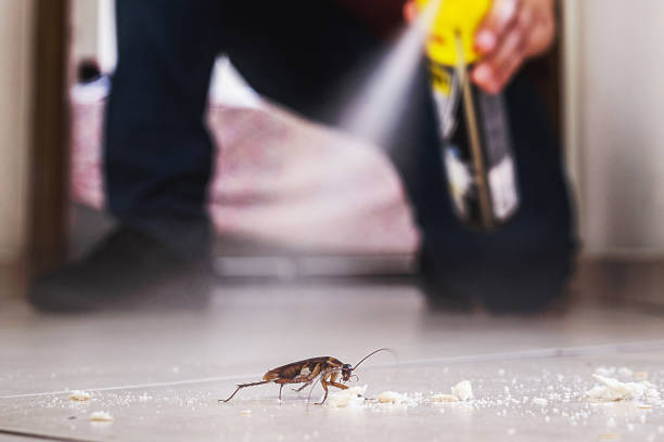Insect Control in Oak Hill, TN
